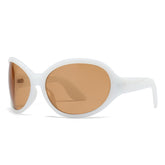 (6) PACK Wholesale Sunglasses 2023 M231601